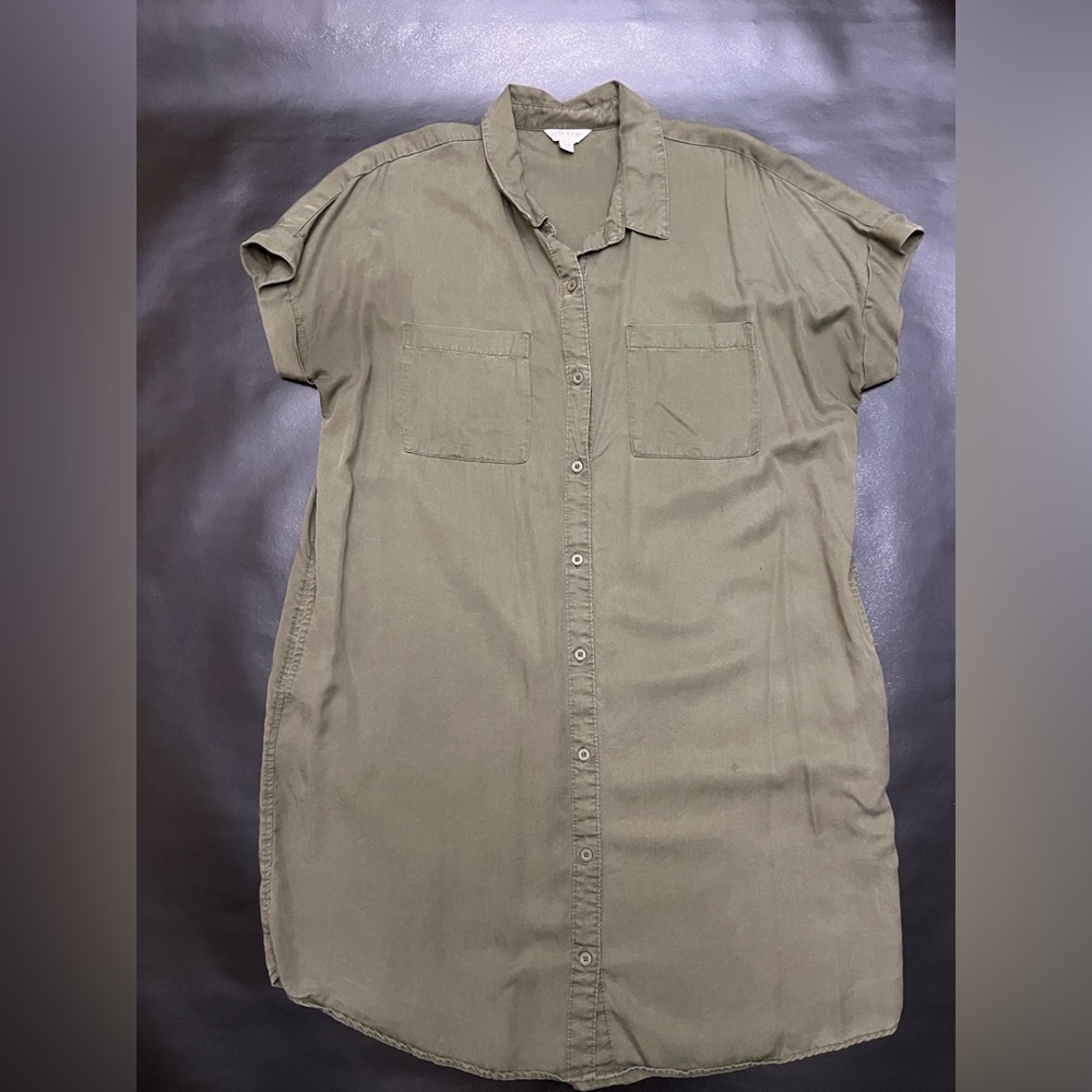 Button down dress